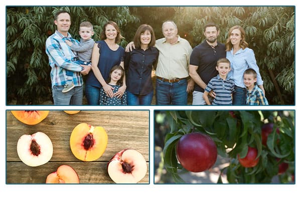 HMC Farms family, and peaches on a table and a tree.